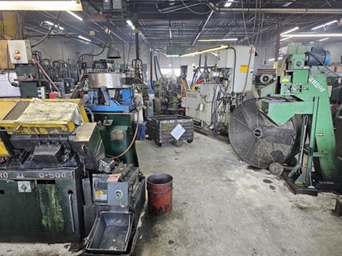 SMALL SCREW PLANT